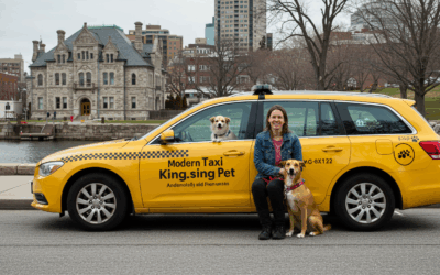 Modern Taxi for Your Kingston Pet Vet Visits